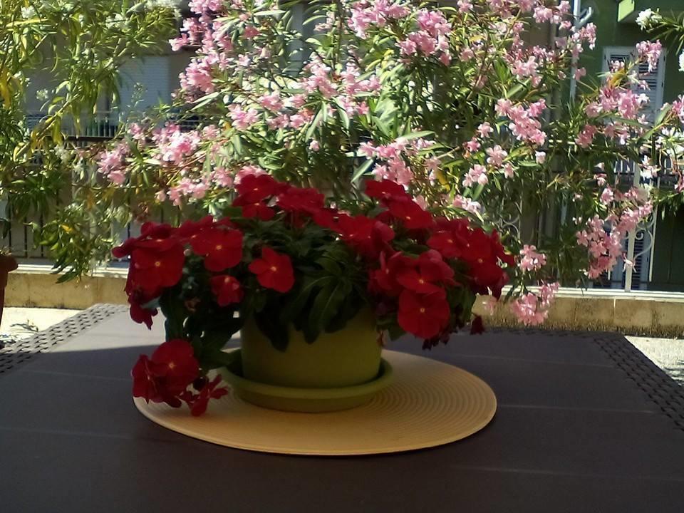 Appartamento Il Terrazzo Di Oleandri Bagheria Camera foto